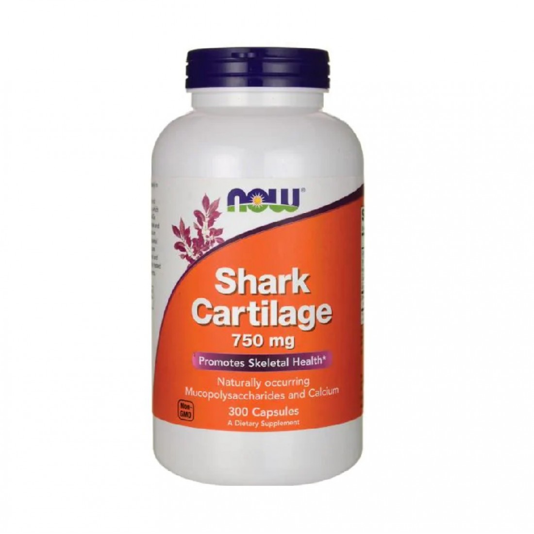 NOW FOODS Shark Cartilage 750mg (Cartilage De Requin, Favorise La Santé Du Squelette) 100